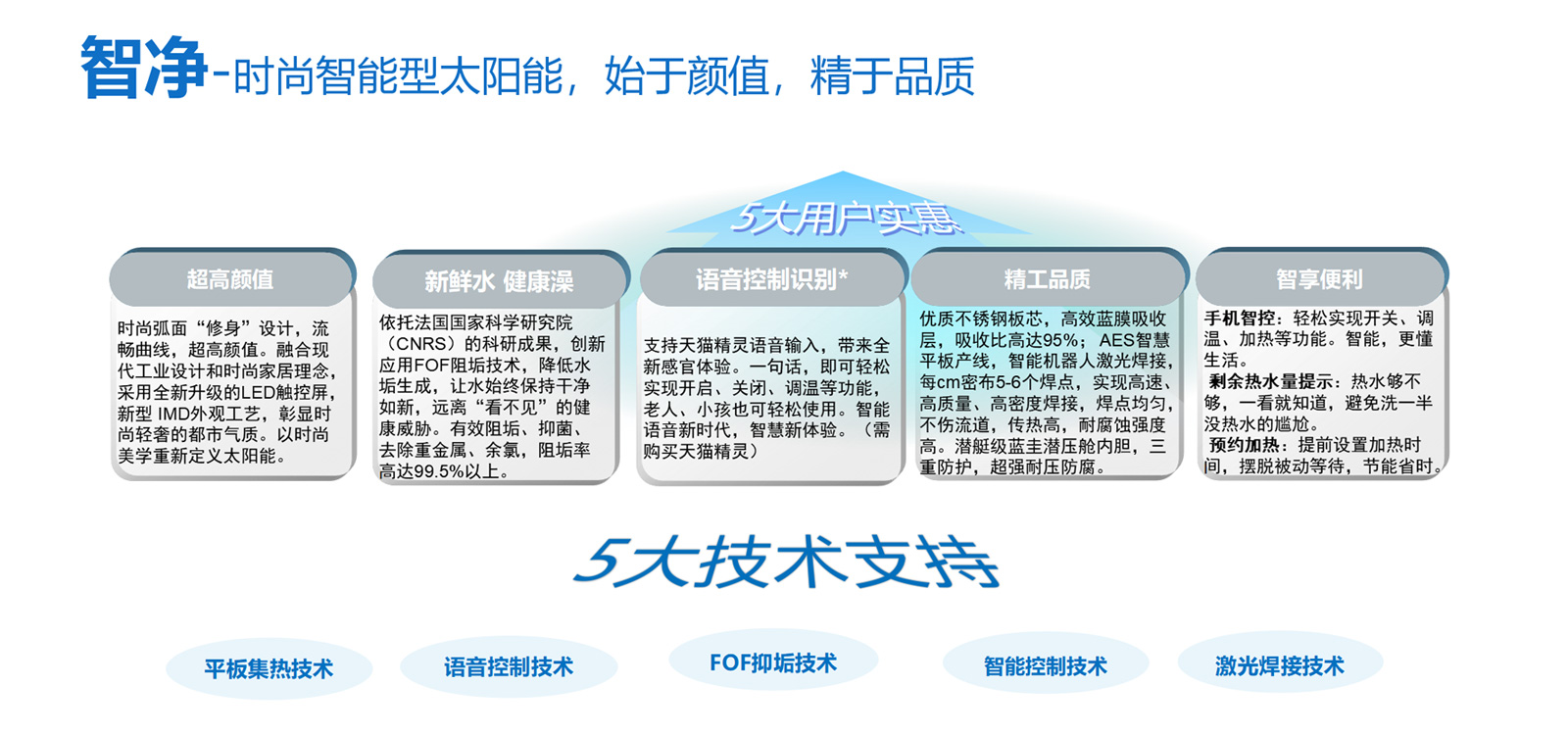智净